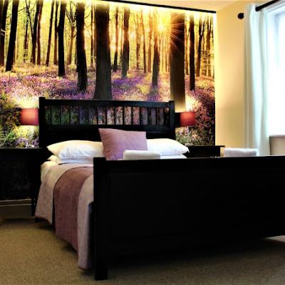 The Dove Inn